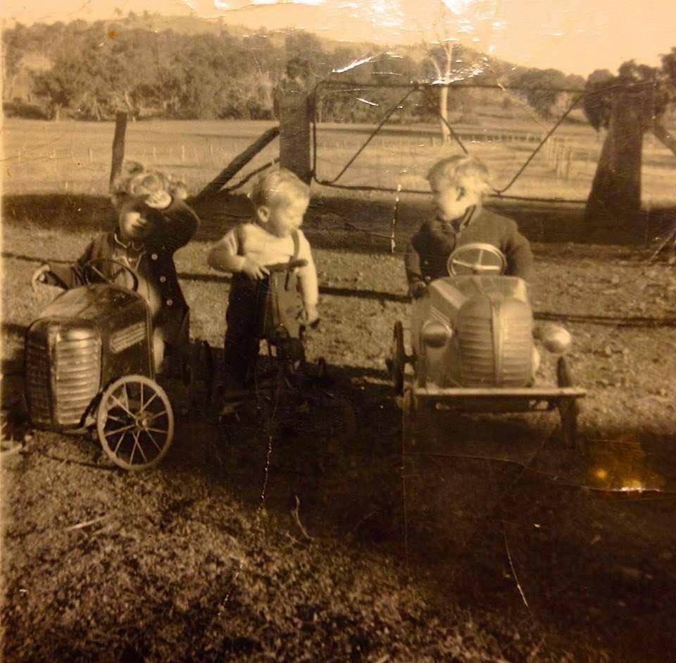 Three small children at play with pedal tractors in a paddock, mid-twentieth century