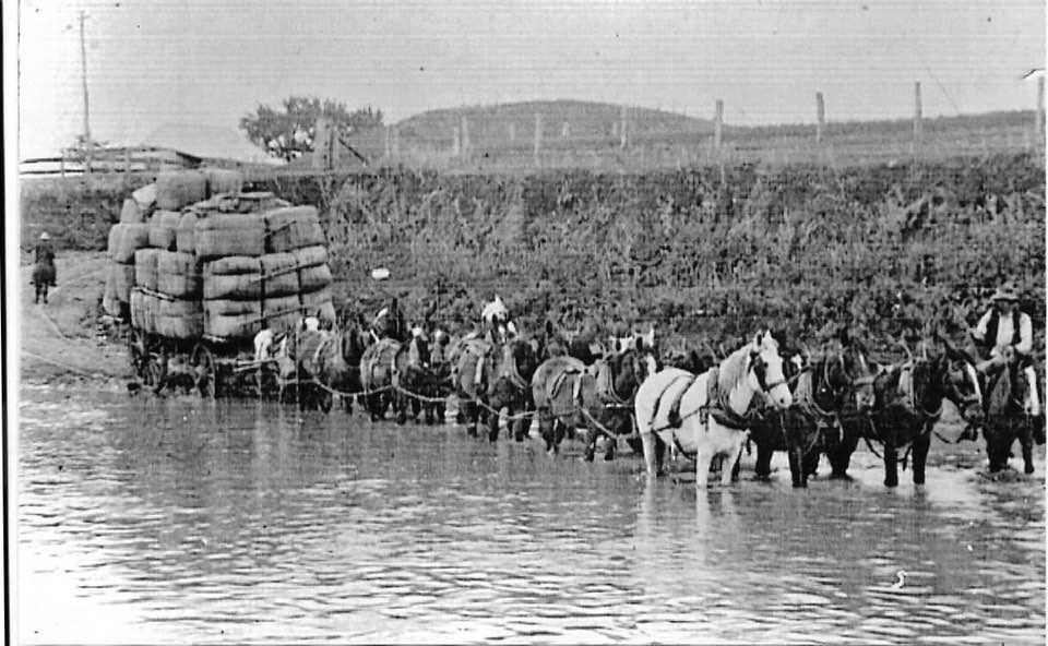 Wool wagon drawn by a long team of horses crossing a river